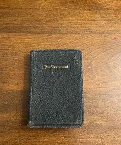 New Testament Bible