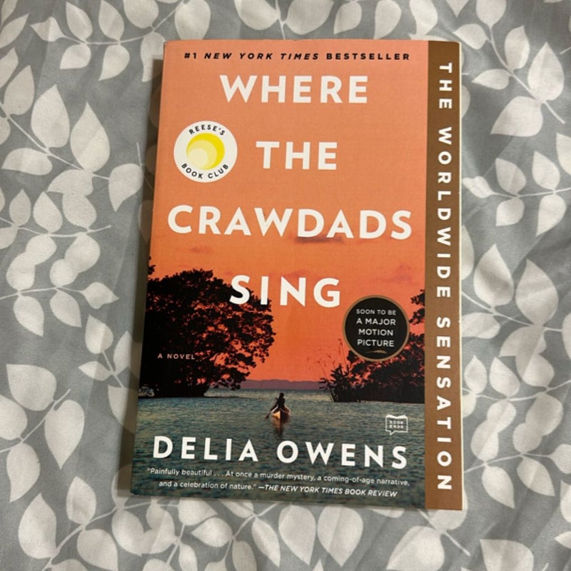 Where the Crawdads Sing