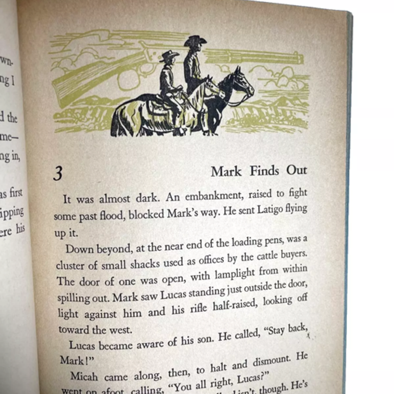 The Rifleman Hardcover Book Whitman Cole Fannin 1959 Authorized TV Adventure