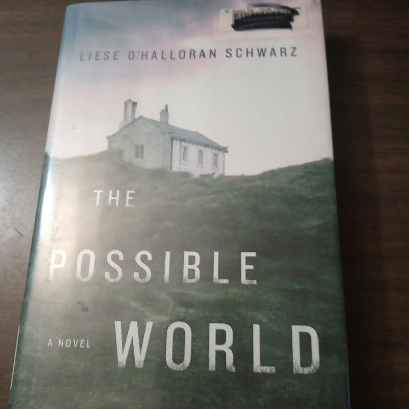 The Possible World