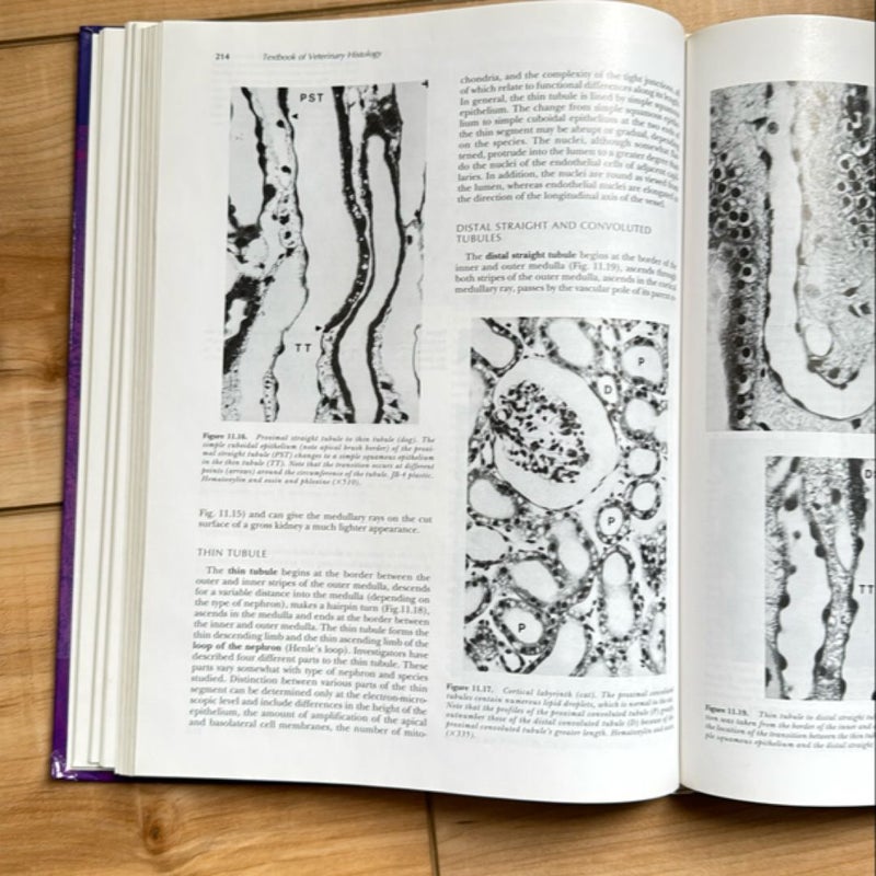 Textbook of Veterinary Histology