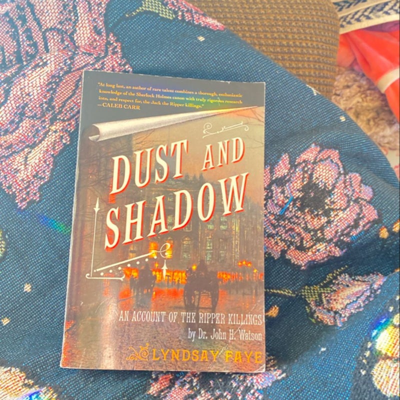 Dust and Shadow