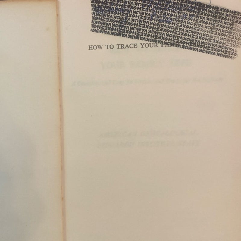 How to Trace Your Family Tree