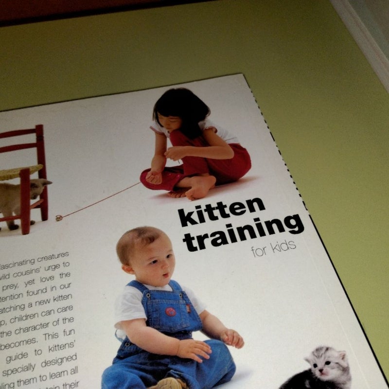 Kitten Training for Kids