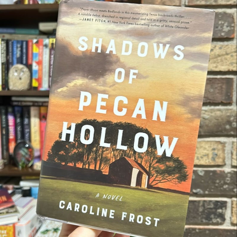 Shadows of Pecan Hollow