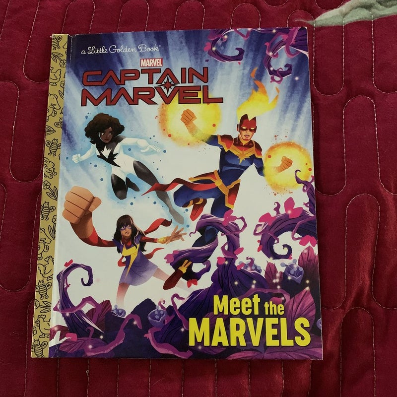 Meet the Marvels (Marvel)