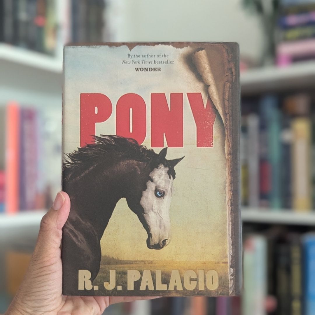 Pony