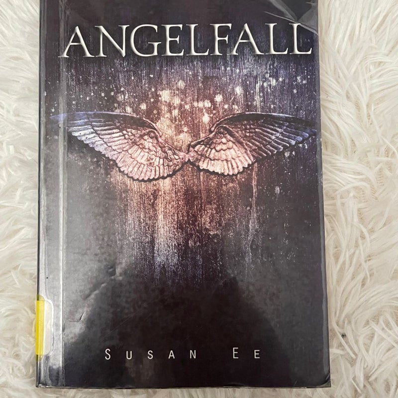 Angelfall