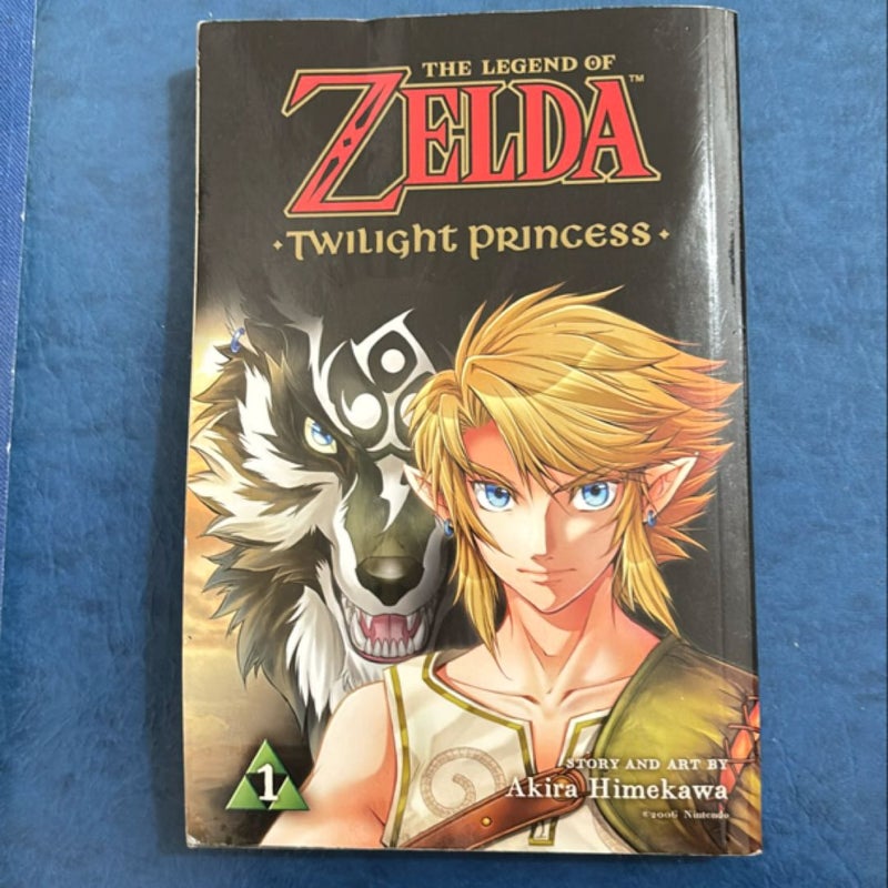 The Legend of Zelda: Twilight Princess, Vol. 1