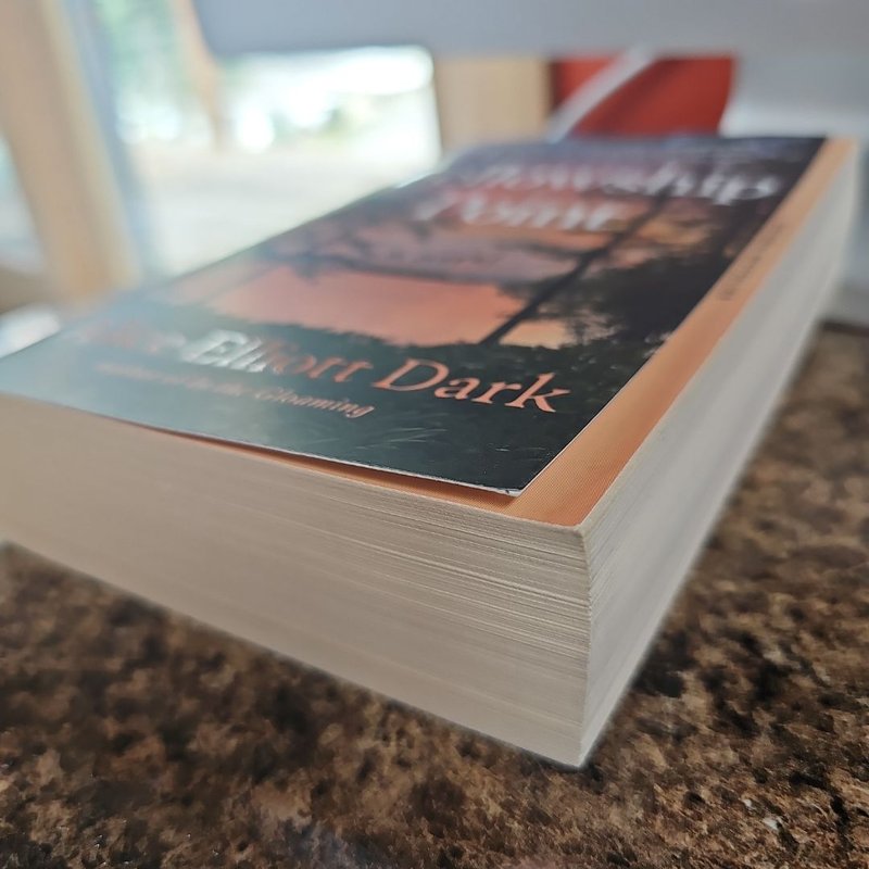 Fellowship Point by Alice Elliott Dark, Paperback | Pangobooks