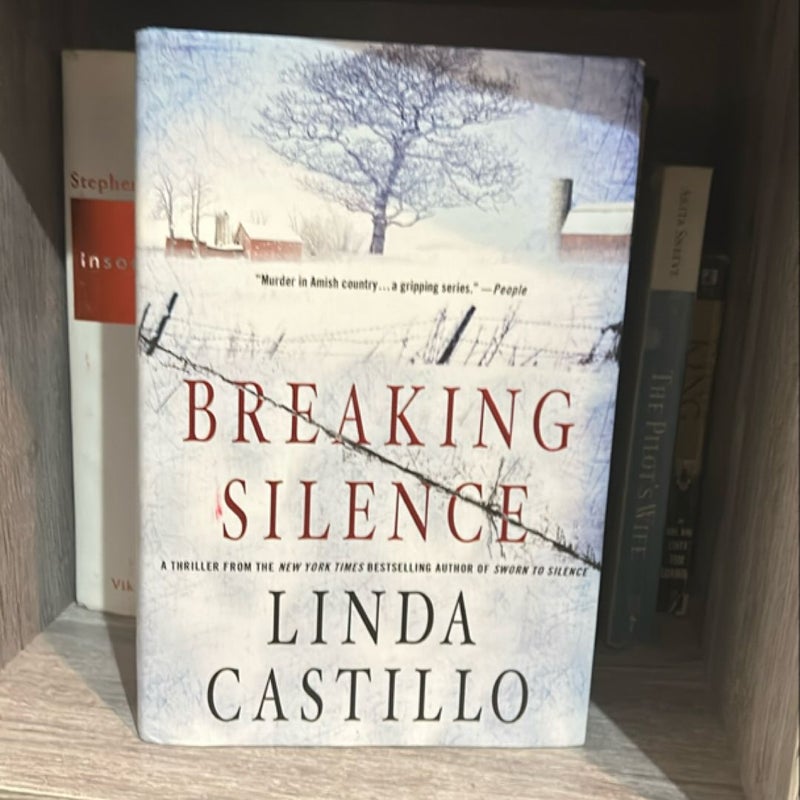 Breaking Silence