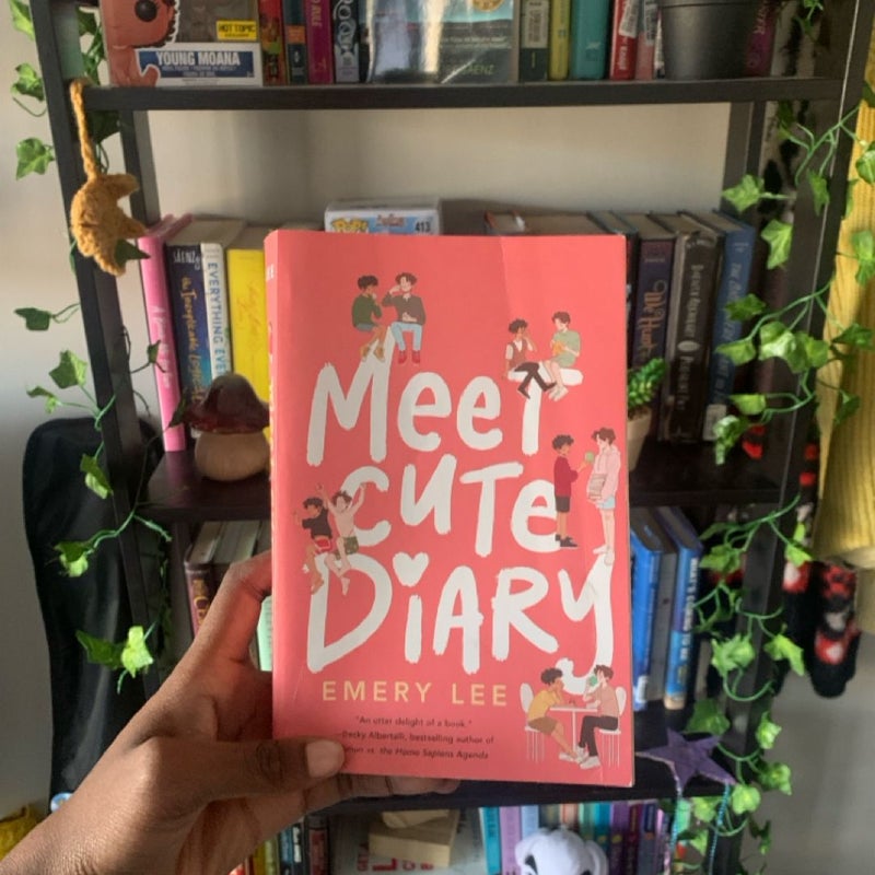 Meet Cute Diary