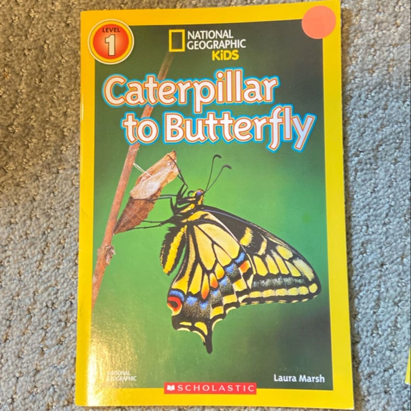 National Geographic Readers: Great Migrations Butterflies