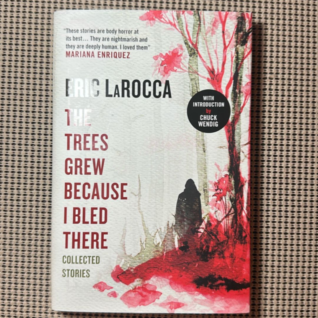 Sale image for c2b67d62-05a8-48ad-a8c0-129b5e2173be-O4XEIe5olkdYJaUROaj41AC6Tzm2