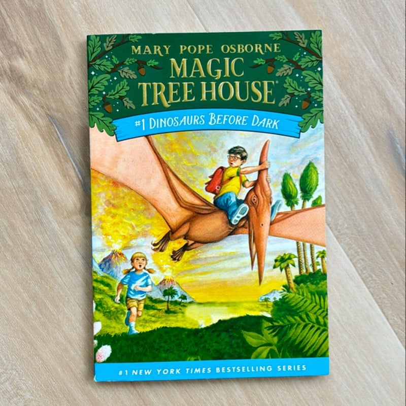 1-20 Magic Tree House Books