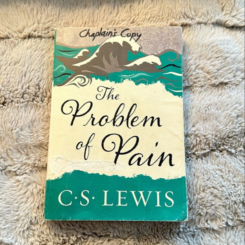 The Problem of Pain