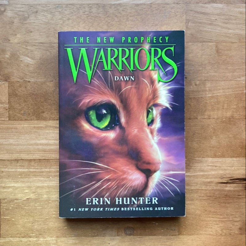 Warriors- 5 book bundle 