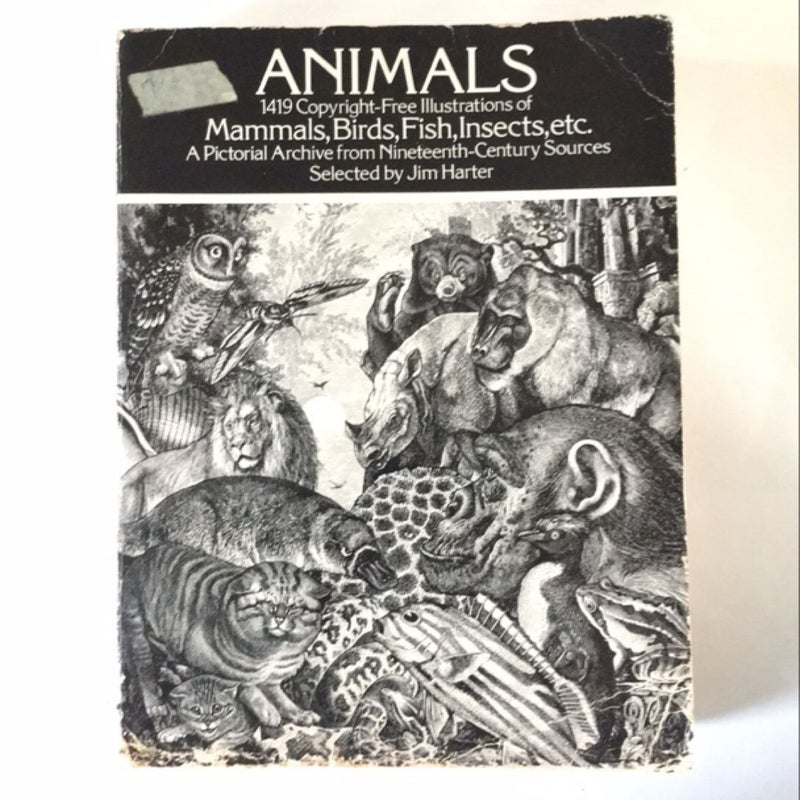 Animals