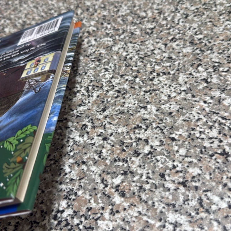 Hurricane Heroes in Texas First Edition