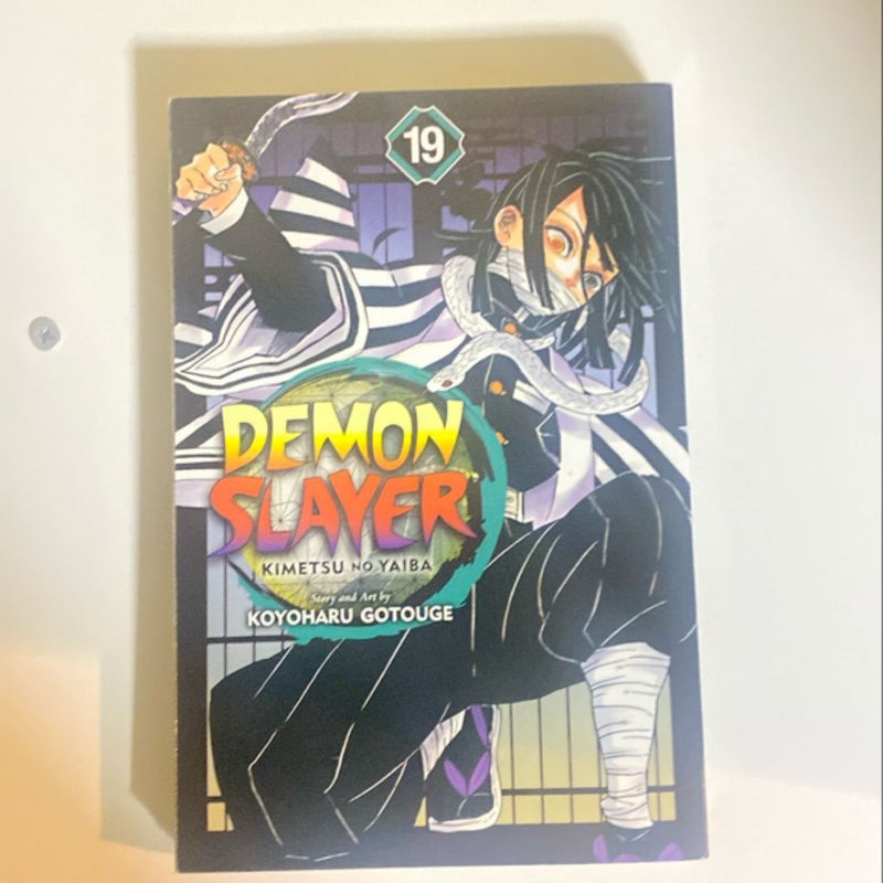 Demon Slayer: Kimetsu No Yaiba, Vol. 19