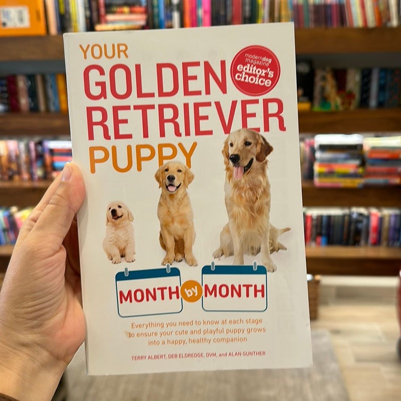Your Golden Retriever Puppy Month by Month