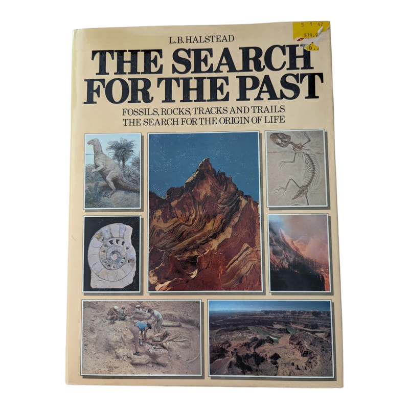 Search for the Past