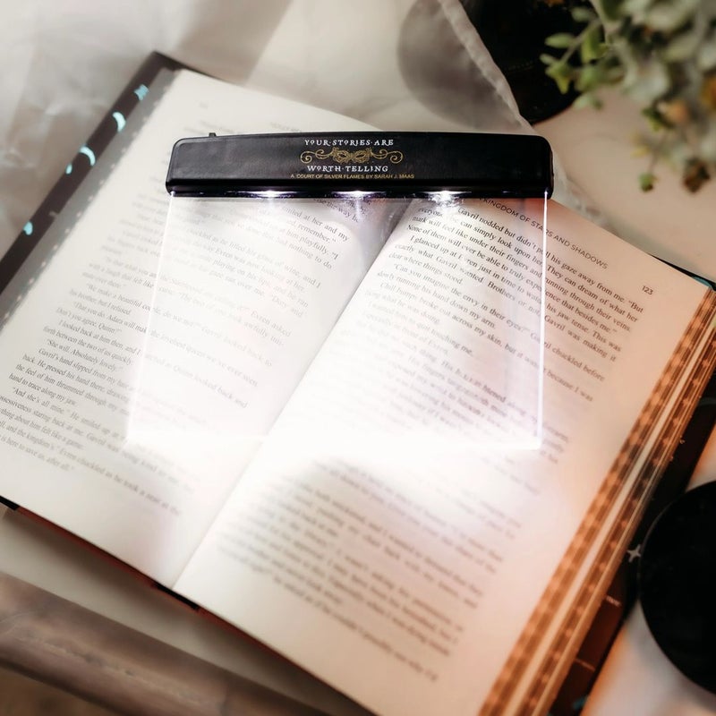 A court of silver flames book light bookish box 