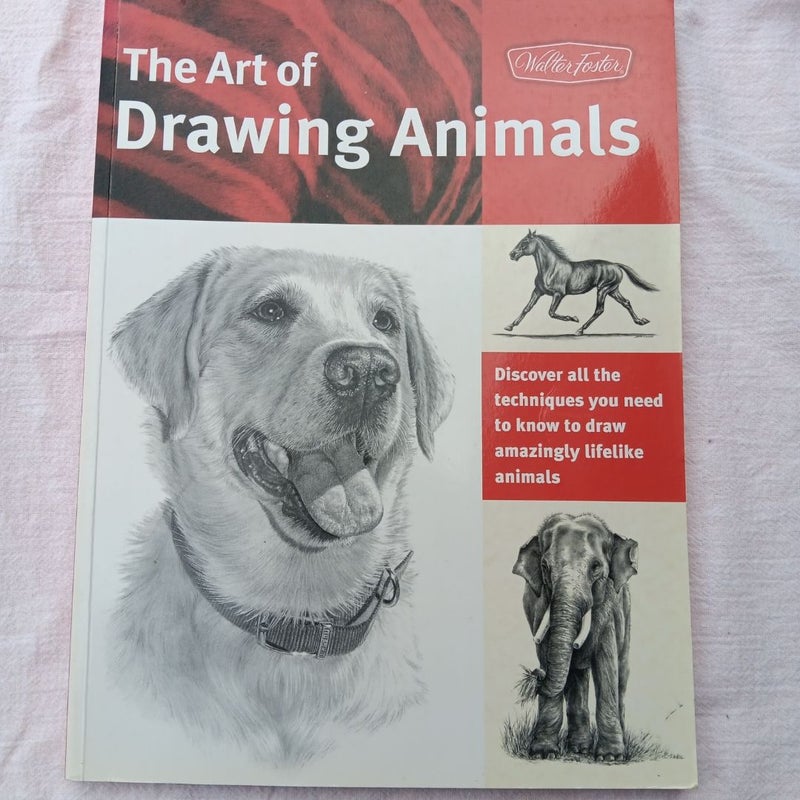 The Art of Drawing Animals