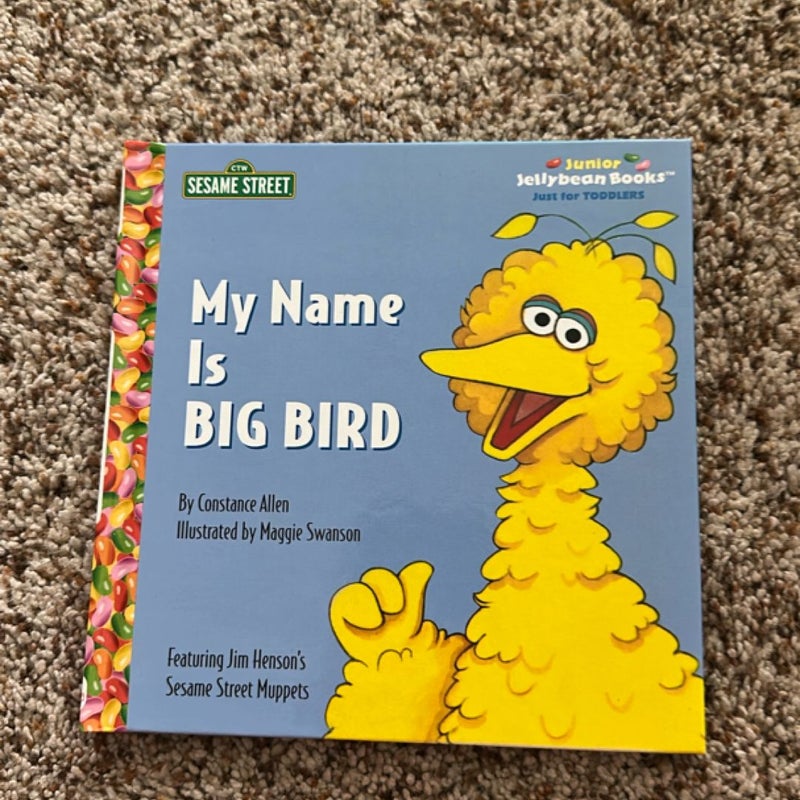 My name is big bird 