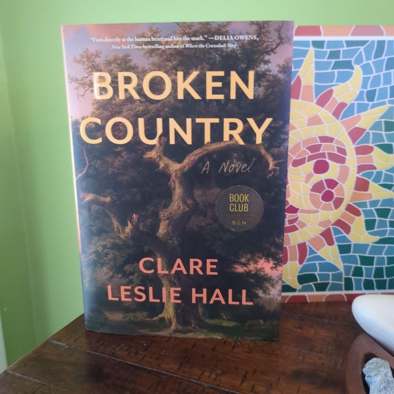Broken Country 