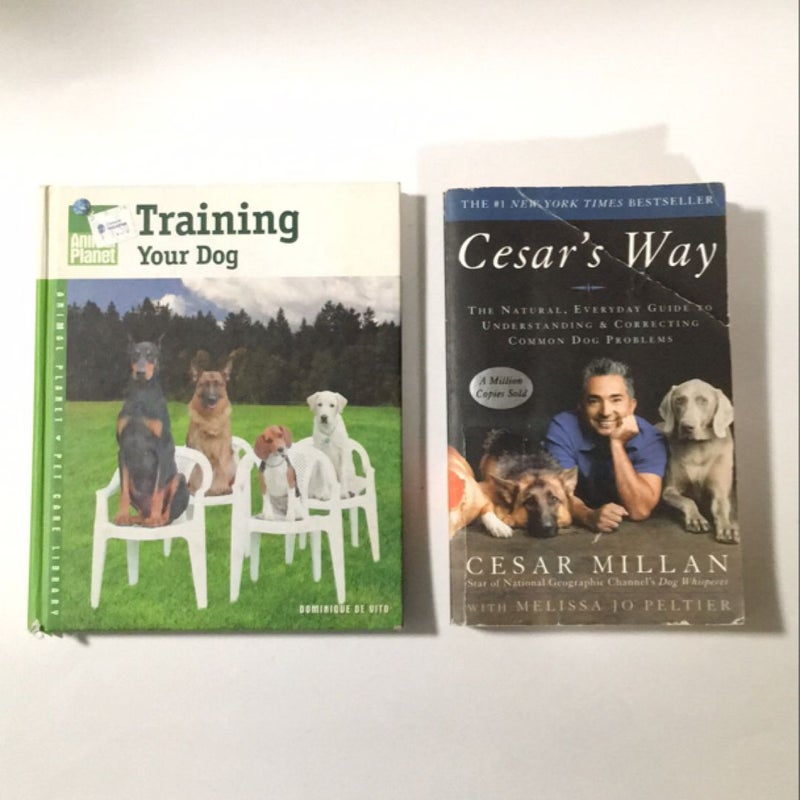 Training Your Dog