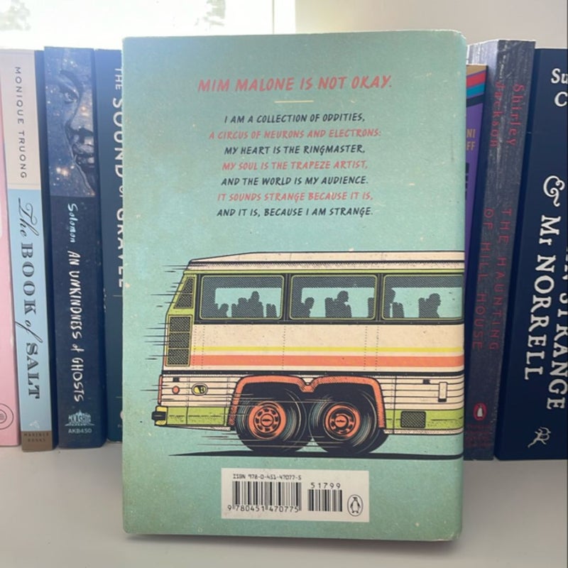 Mosquitoland