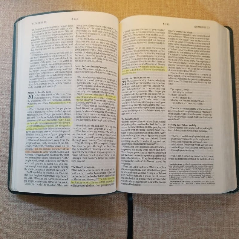 NLT Bible (Red letter, teal, leatherlike)