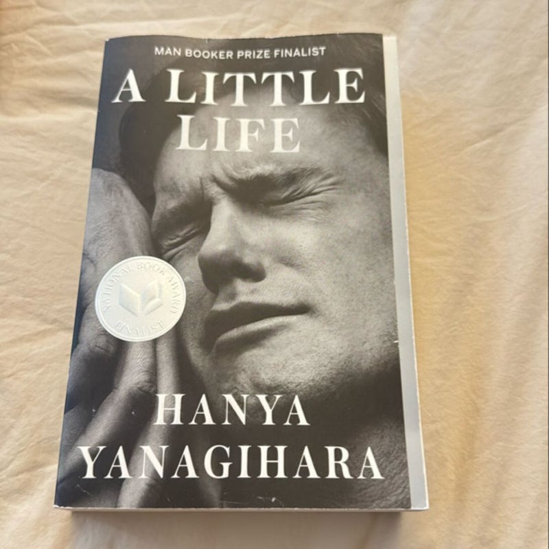 A Little Life