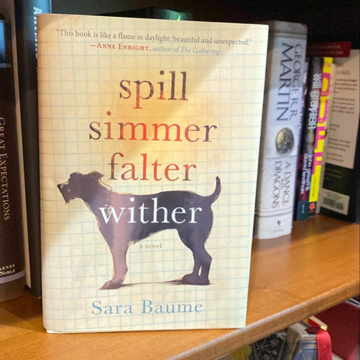 Spill Simmer Falter Wither by Sara Baume