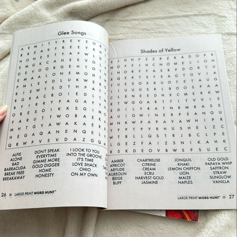 Large Print Word Hunt 