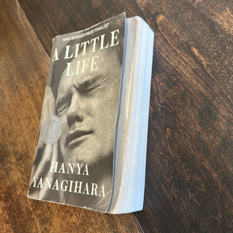 A Little Life
