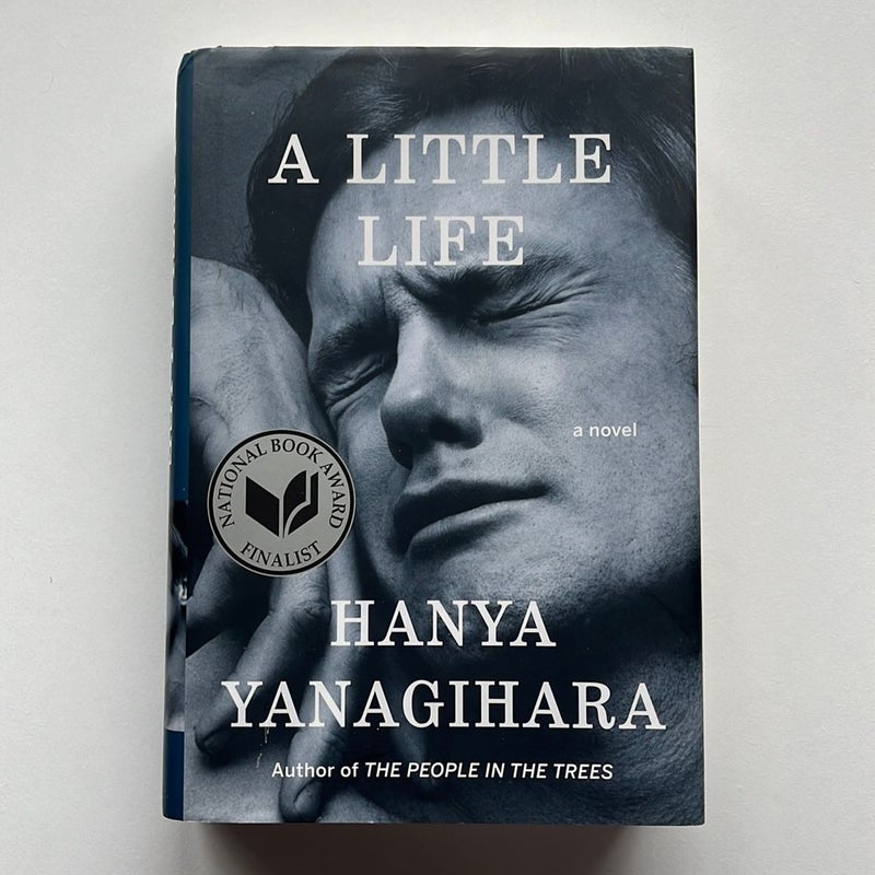 A Little Life by Hanya Yanagihara, Hardcover