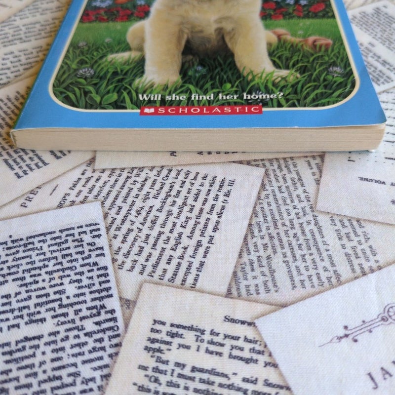 Animal Ark: Labrador on the Lawn