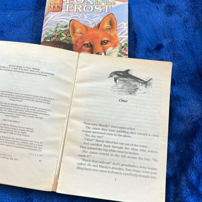 BOOK BUNDLE: Fox in the Frost and Raccoons on the Roof
