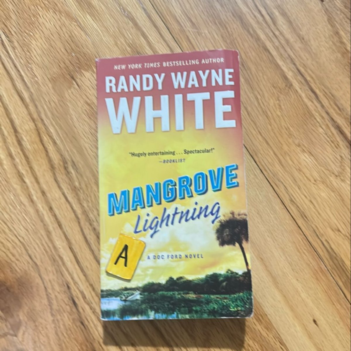 Mangrove lightning by randy wayne white
