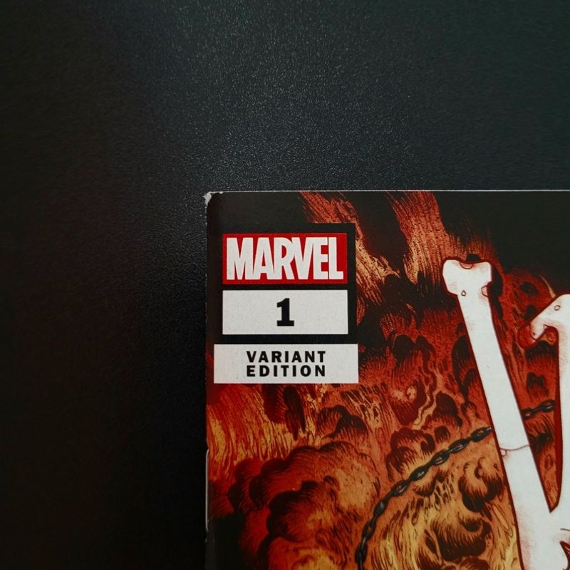 Ghost Rider: Return Of Vengeance #1