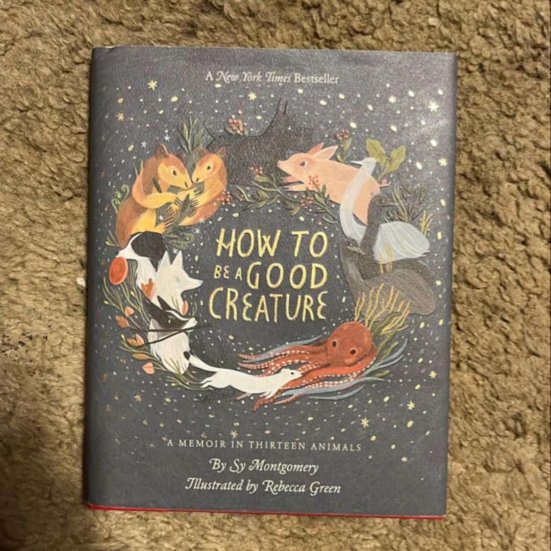 Sale image for 5d0d04f1-1e52-4a52-b09e-0c52dfd3ff1b-zOWNzJQVNOhOwBkIWyFQ7wQsDQv2