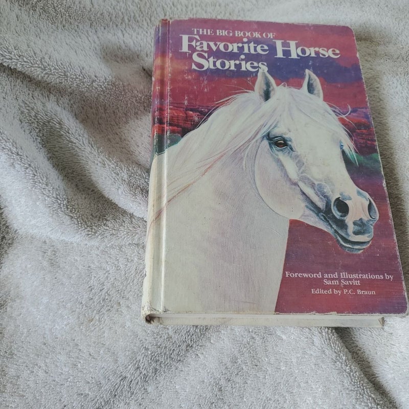 Horse stories