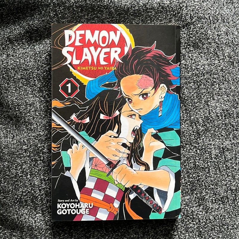 Demon Slayer: Kimetsu No Yaiba, Vol. 1