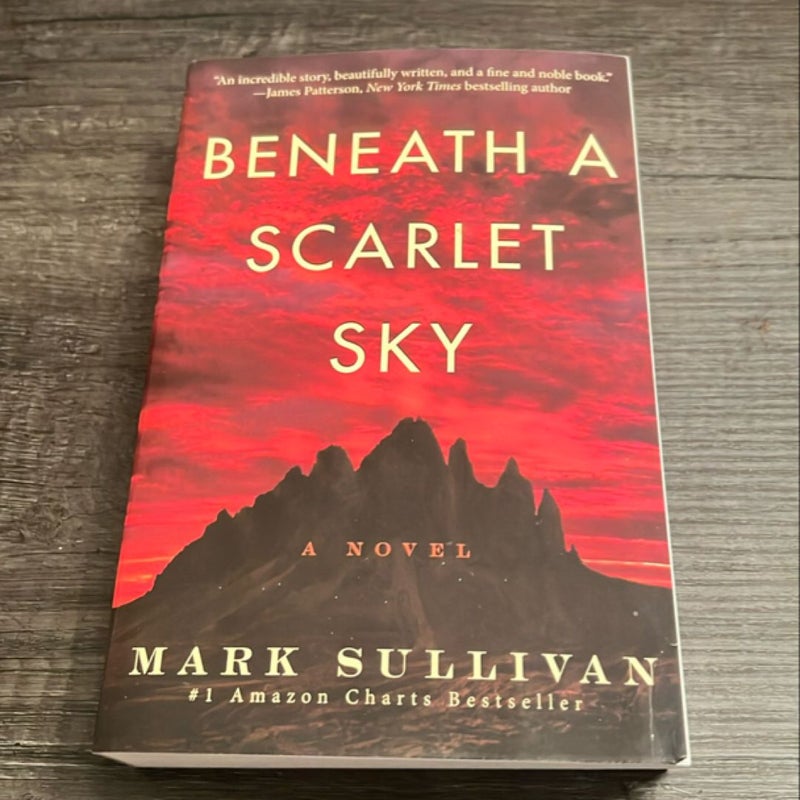 Beneath a Scarlet Sky