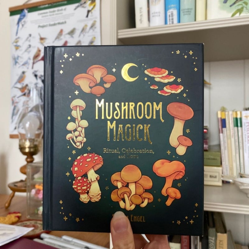 Mushroom Magick