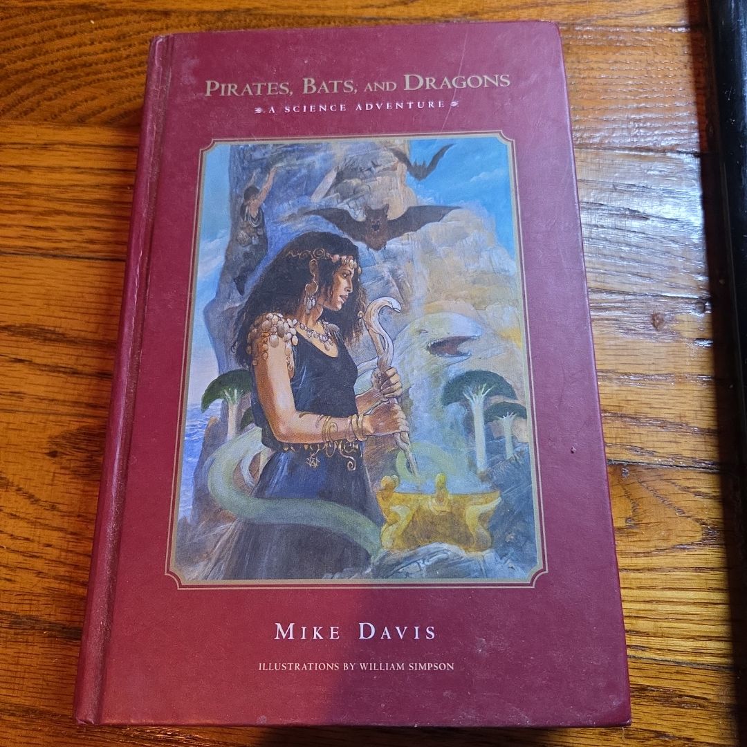 Pirates, Bats, and Dragons