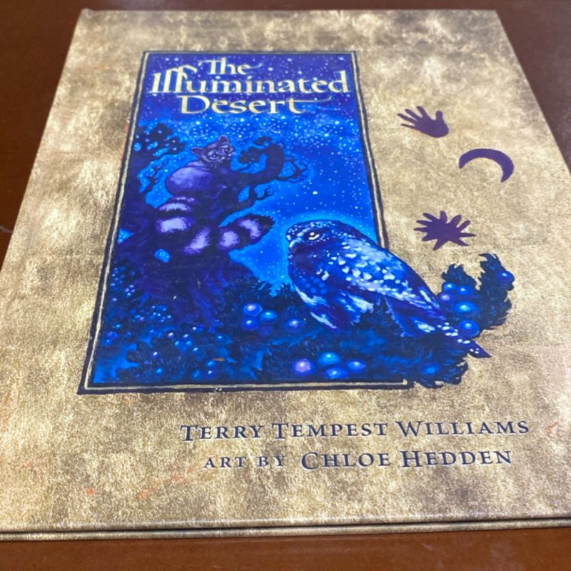 The Illuminated Desert