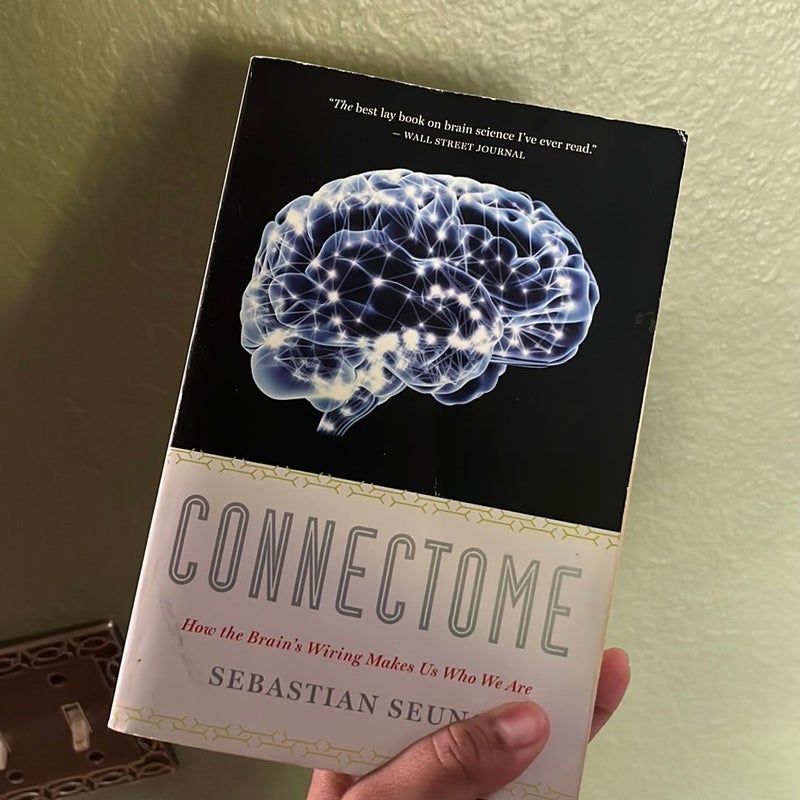 Connectome